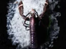 Homard Vivant - 500g