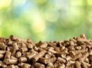 Litière 100% Biologique et Ecologique de Petit Epeautre Bio 5KG