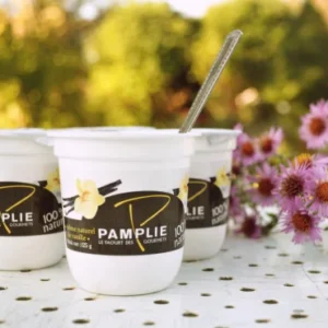 Lot De 4 Yaourts Brassés Arôme Naturel De Vanille Au Lait Entier