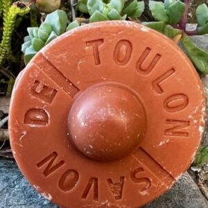 Le Petit Bachi Toulonnais clémentine 50g